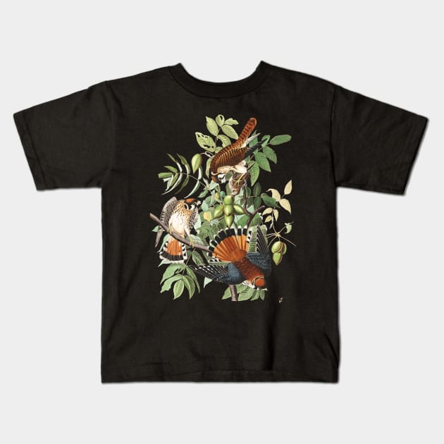 John James Audubons American Sparrow Hawk Kids T-Shirt by Dystopianpalace